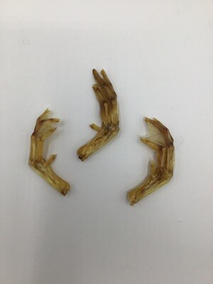 DRIED Duck Feet *each*