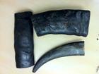 Buffalo Horn (MEDIUM)