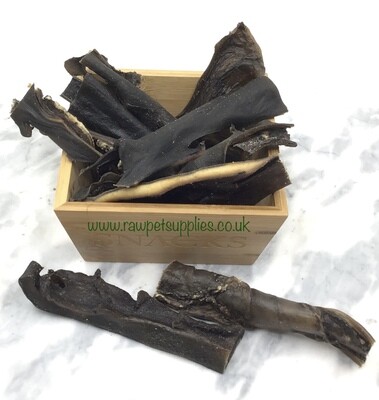Wild Boar Skin / Hide (each)