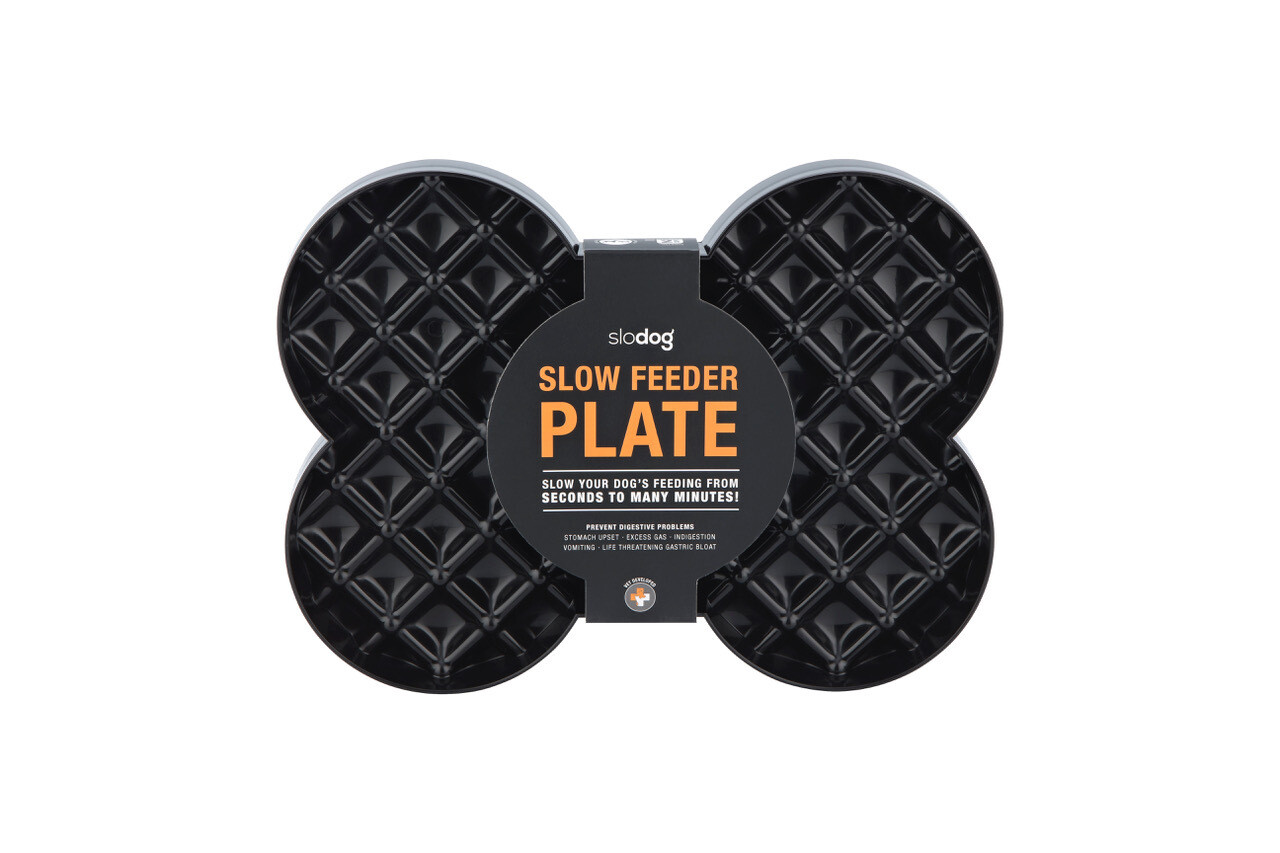 LickiMat Slodog *Small* Slow Feeder Plate TURQOISE