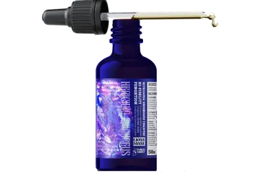 Fungh Shwey Lions Mane Tincture 50ml
