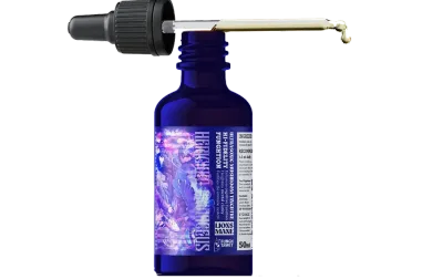 Fungh Shwey Lions Mane Tincture 50ml