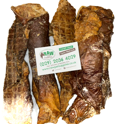 Pig Stomach (Rolled) SMALL (1 piece)