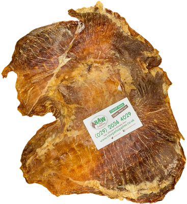 Pig Stomach (Flat) LARGE (1 piece)