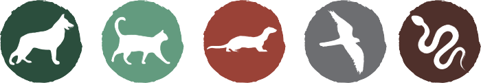 Shop by Pet