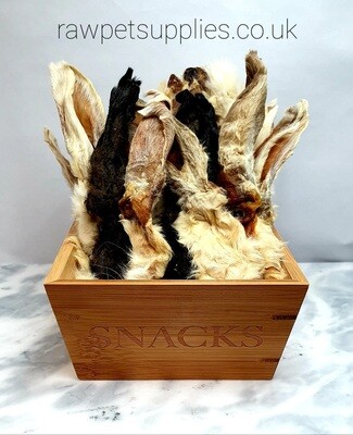 Hairy Rabbit Ears (each)