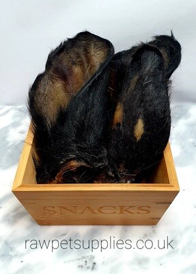 Cow Ear with Hair (each)