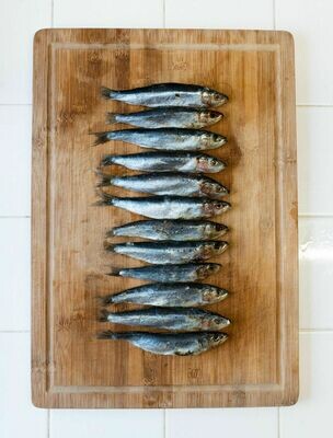 Reggie's Whole Pilchards/Sardines (1kg)