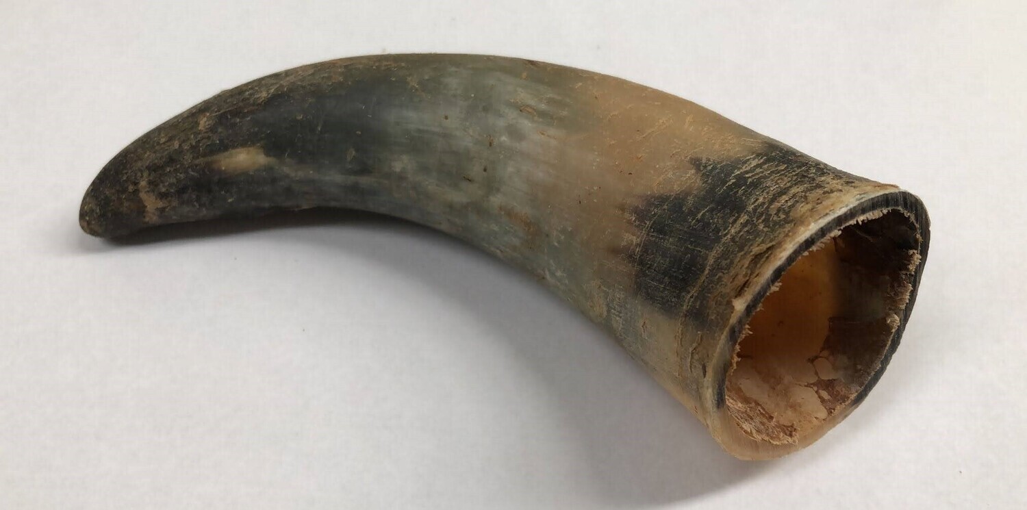 Empty Beef Horn Chew