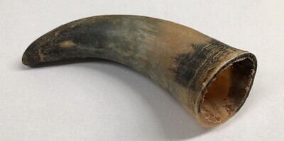 Empty Beef Horn Chew