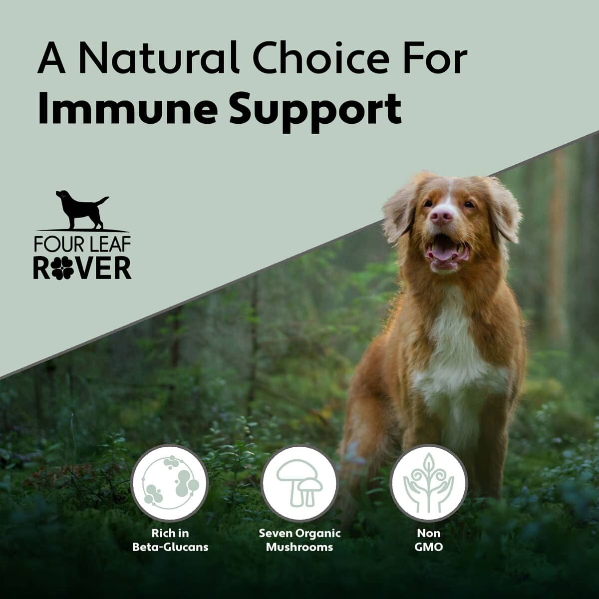 FLR Seven ‘Shrooms IMMUNITY Organic Mushroom Mix