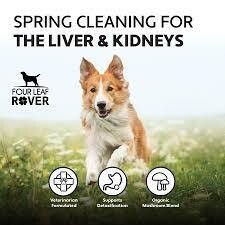 FLR Liver/Kidney CLEAN