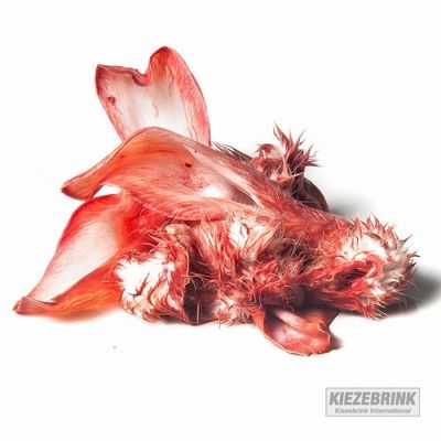 Kiezebrink Rabbit Ears FROZEN (500g)