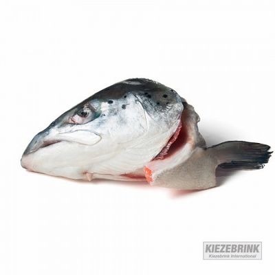 Salmon Heads (Pack of 2)