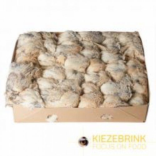 French Quail with feathers (each)