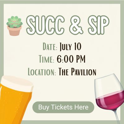 Succ &amp; Sip