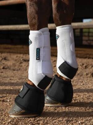 Horse Foot & Leg Protection