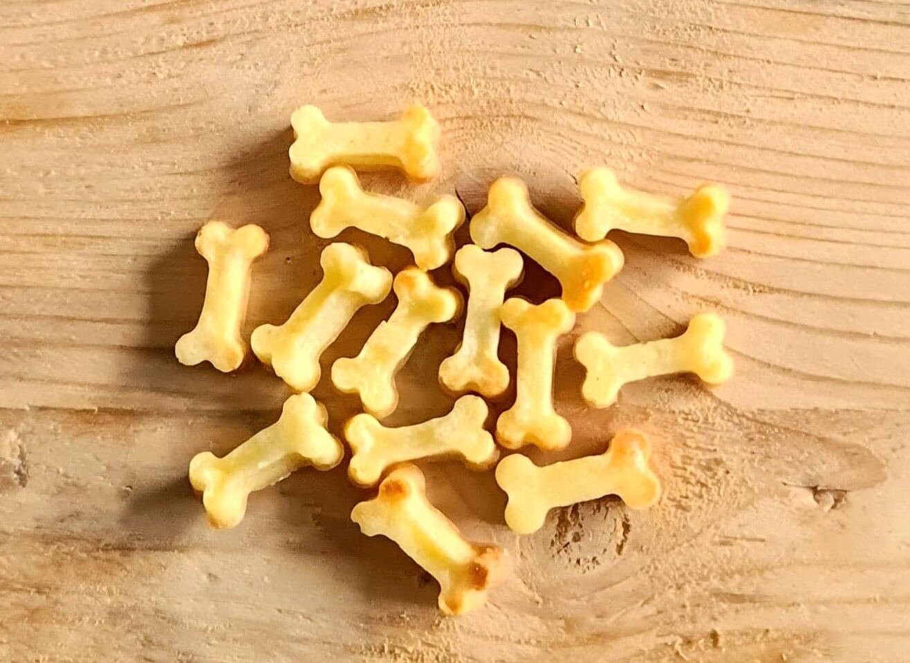 Trainers mini / mini koekjes per 100 gr.