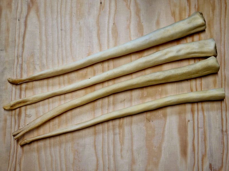 Ossenstaart 40/50cm per 2 stuks