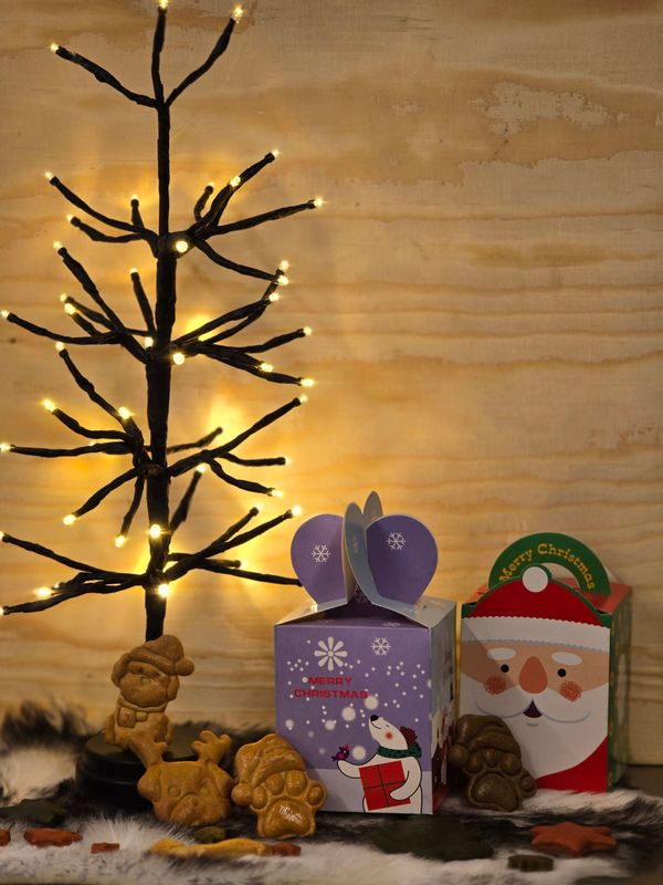 Kerst doosje vierkant