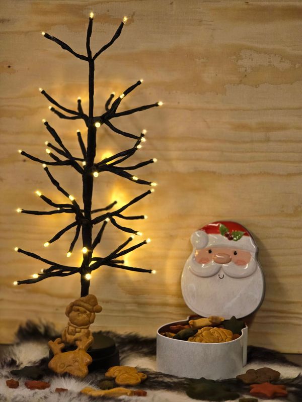 Kerst koekblik kerstman