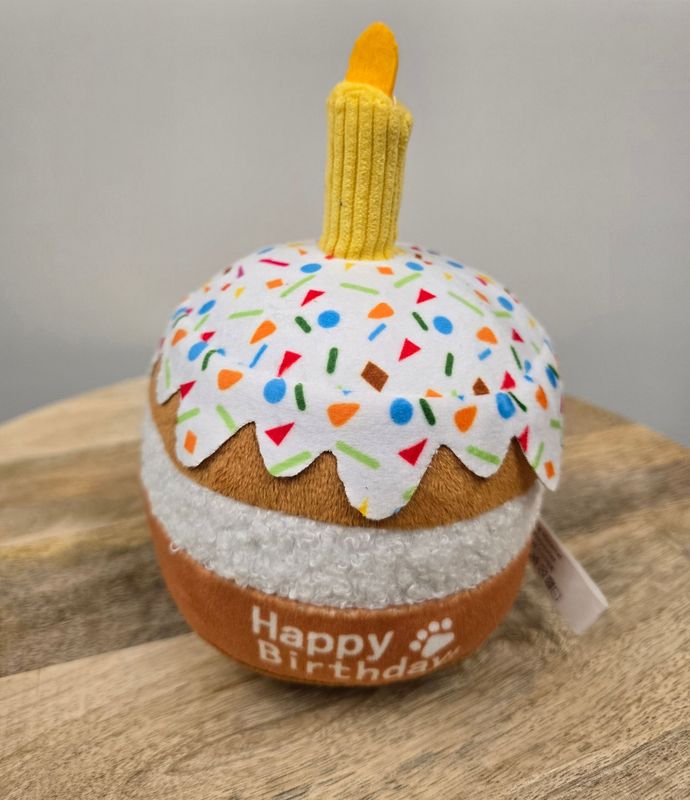 Verjaardagstaart speeltje
