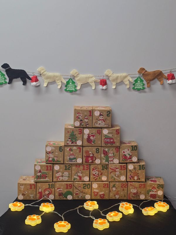 Adventskalender doosjes