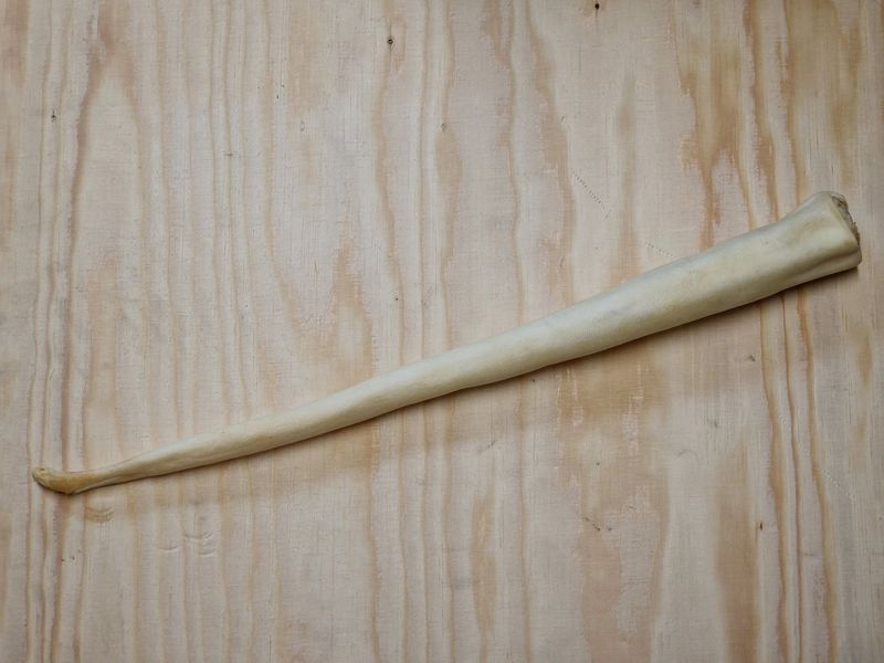 Ossenstaart 35/45cm per stuk