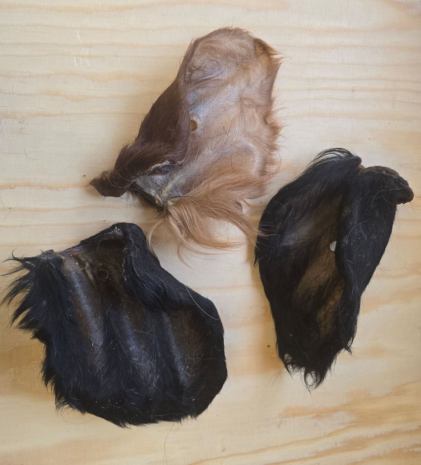 Runder oren met vacht per 5