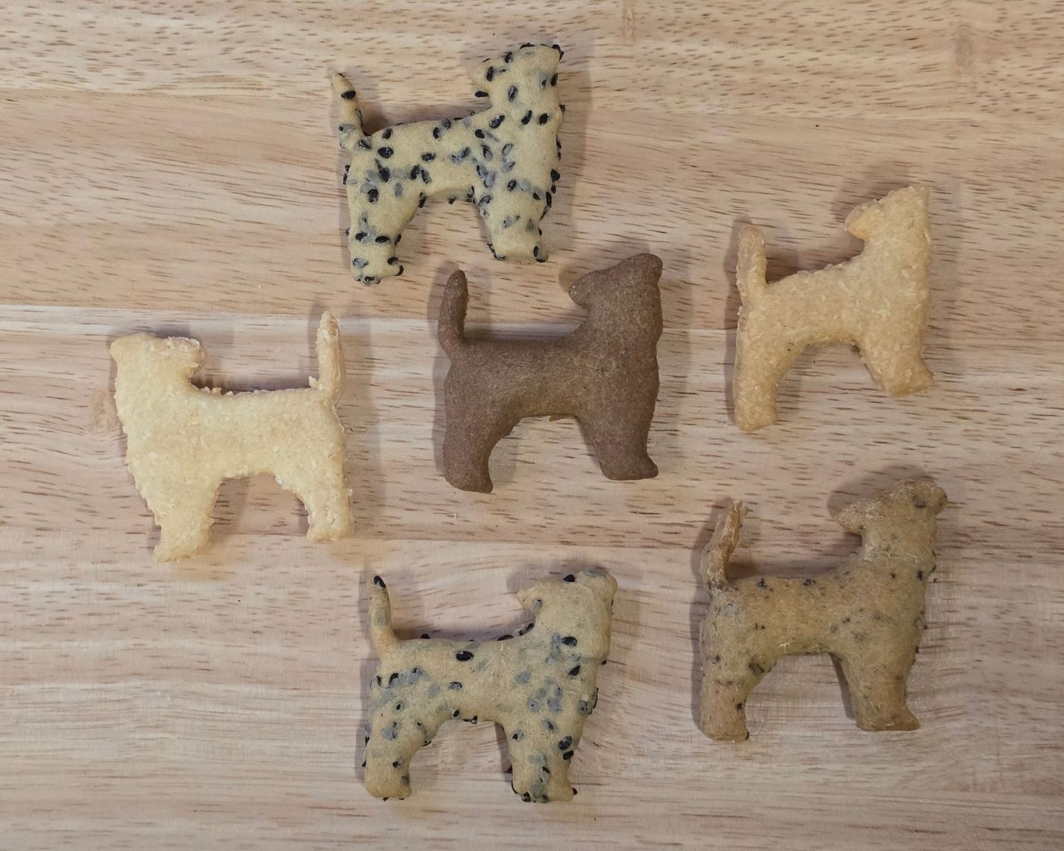 Jackrussels per 100gr Jackrussels per 100gr