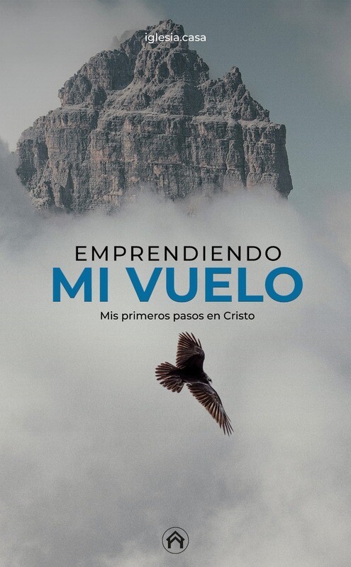 Ebook Empreendiendo mi Vuelo