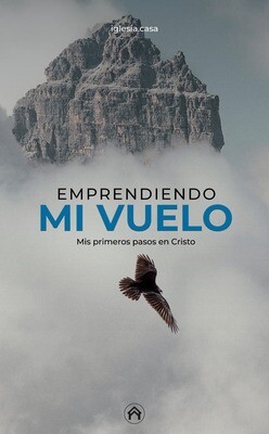Ebook Empreendiendo mi Vuelo