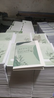 Agenda Femenina 2024