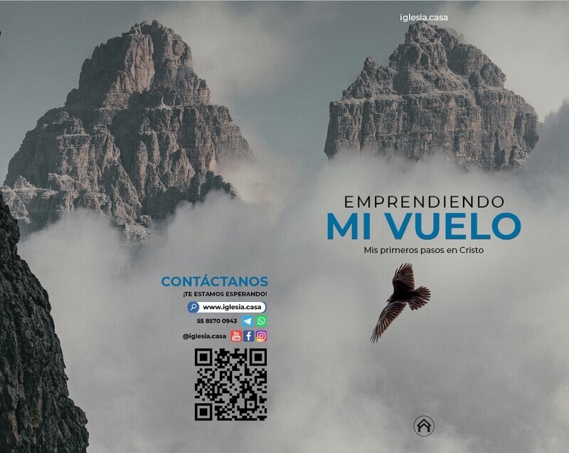 Libro Empreendiendo mi Vuelo