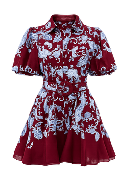 COLLARED MINI SHIRT DRESS