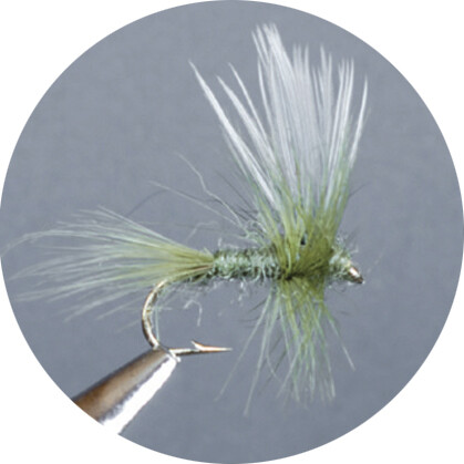 CROWN Serie, STANDARD DRY FLY, THORAX DUN OLIVE/GREY