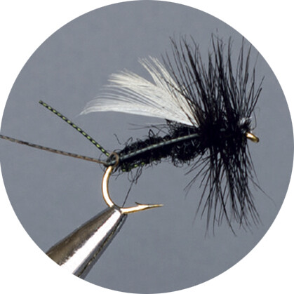 CROWN Serie, STANDARD DRY FLY,BLACK HAWTHORN GNAT
