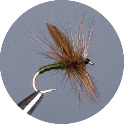 CROWN Serie, STANDARD DRY FLY, COWDUNG OLIVE BODY