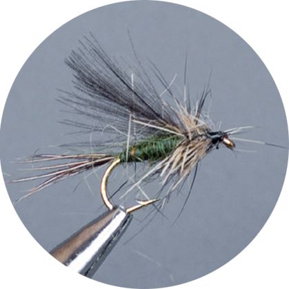 Crown Serie, Wulf, Caddis &amp; Sedge, Olive Cdc Sedge