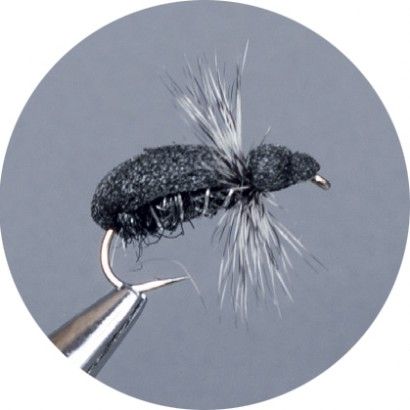 CROWN Serie, TERRESTRIAL, BLACK BEETLE