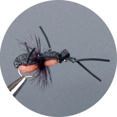 CROWN Serie, TERRESTRIAL, CRAWL. BUG ORANGE