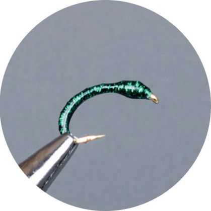 Crown Serie, Coregone Nymph, Green