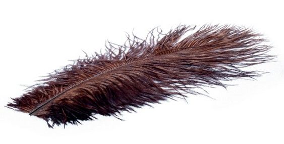 CROWN Serie, STRUZZO SELECT PLUME