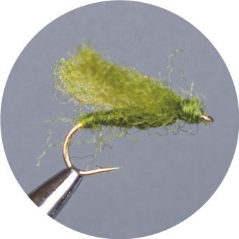 CROWN Serie, STANDARD DRY FLY, RACKELHANEN OLIVE
