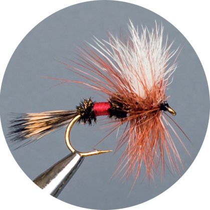 Crown Serie, Wulf, Caddis &amp; Sedge, Royal Wulff
