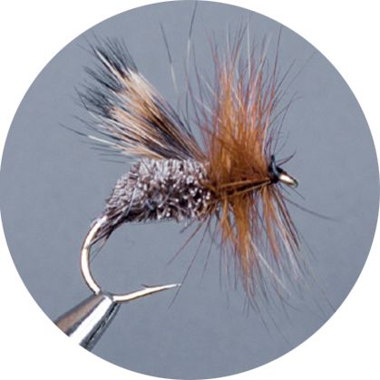 Crown Serie, Wulf, Caddis &amp; Sedge, Deer Hair Sedge