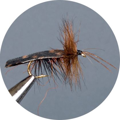Crown Serie, Wulf, Caddis &amp; Sedge, Dark Brown Sedge