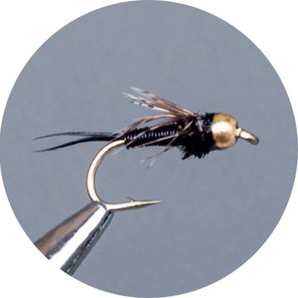 Crown Serie, Brass Nymph, Gh Copper John Brown