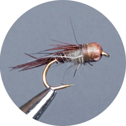 Crown Serie, Tungsten Standard Nymph, Phaesant Tail