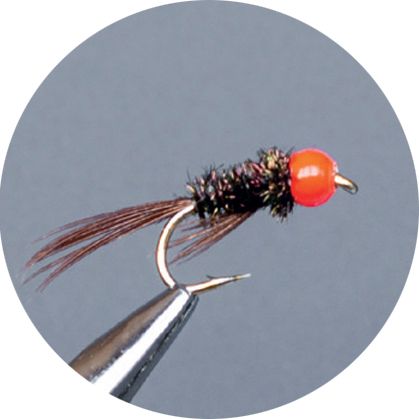 Crown Serie, Brass Nymph, Hothead Orange